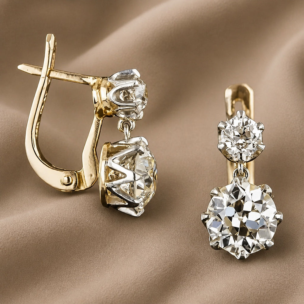 Graceful Duo Zirconia Earrings — image 1