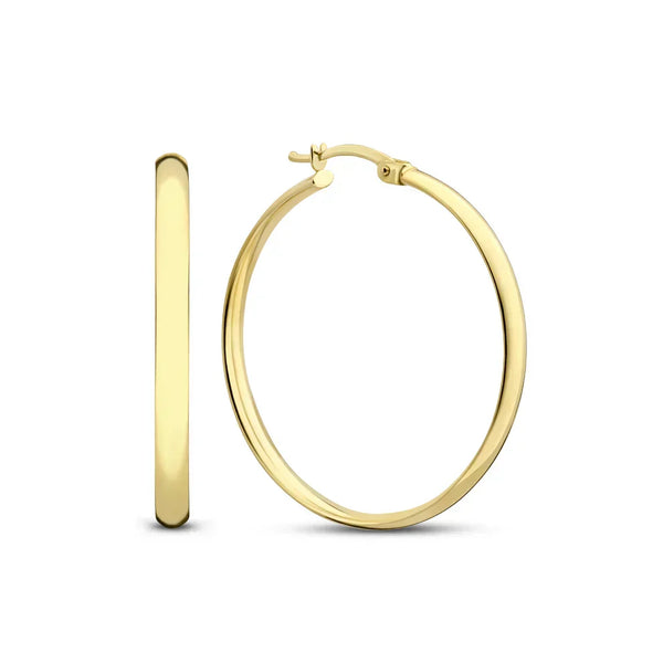 Serane Gold Classic Earrings — image 1