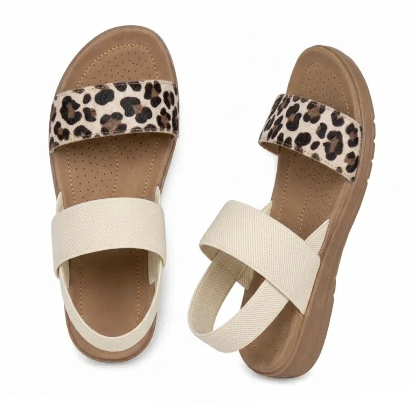 https://cdn.shopify.com/s/files/1/0720/8163/7568/files/wildleopardnimbao.webp?v=1778299606