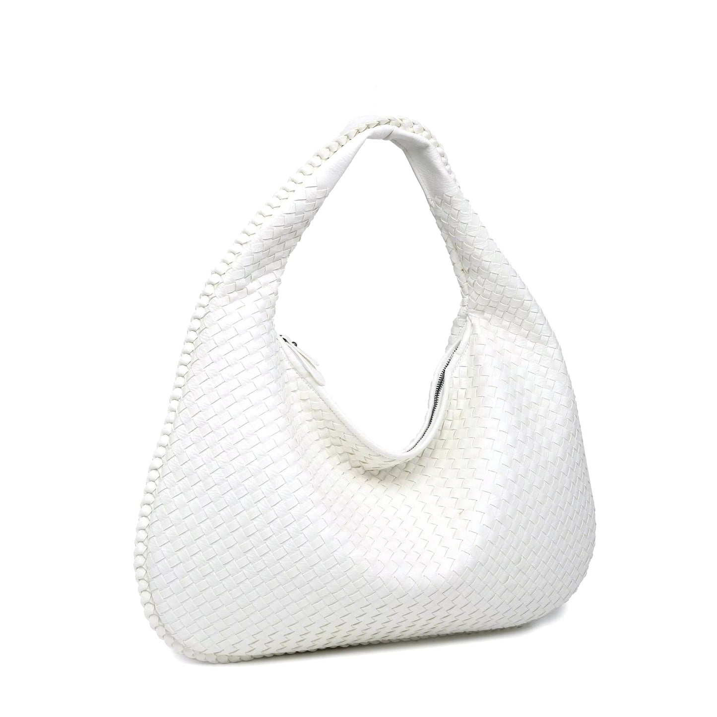 Aurelia tecida maxi