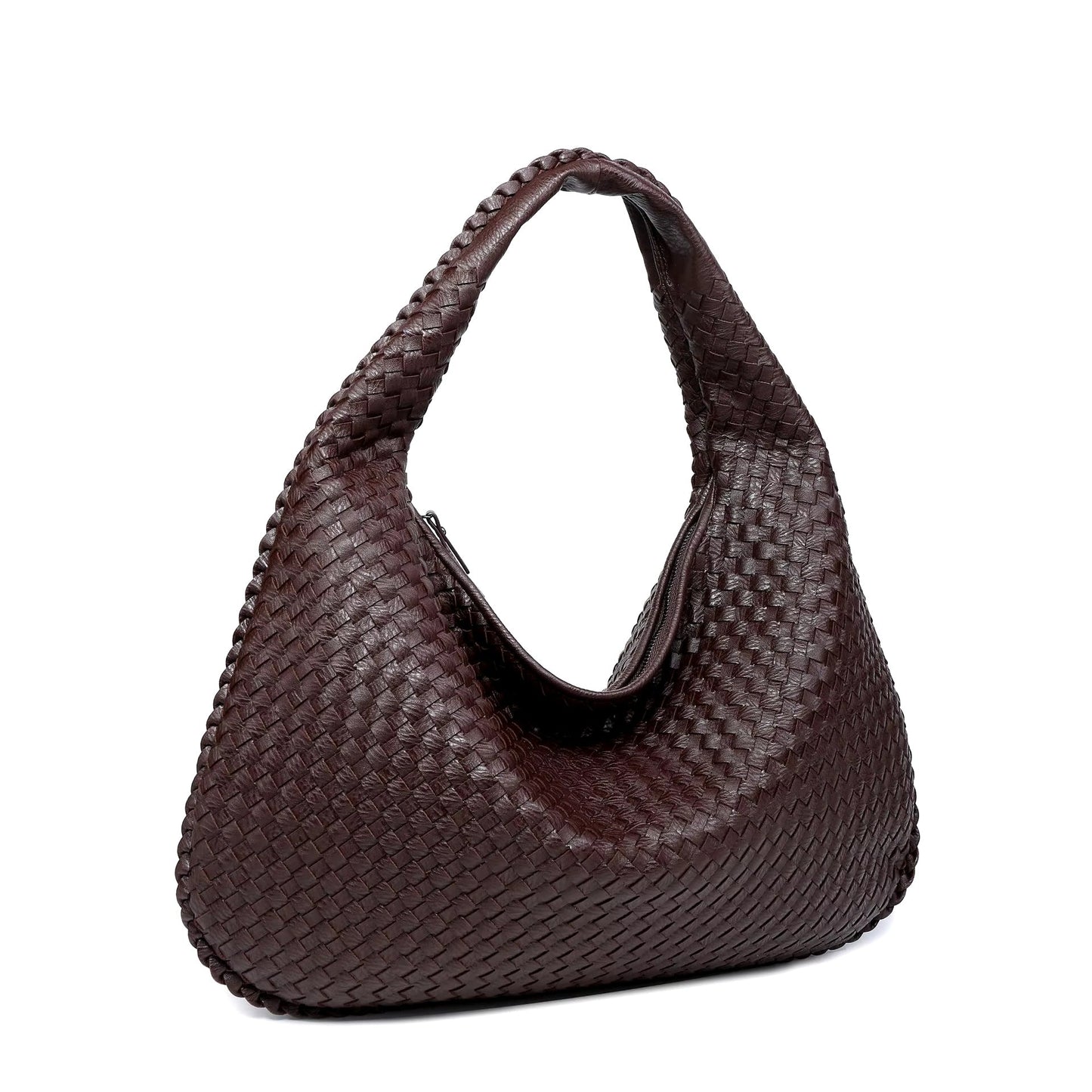 Aurelia tecida maxi