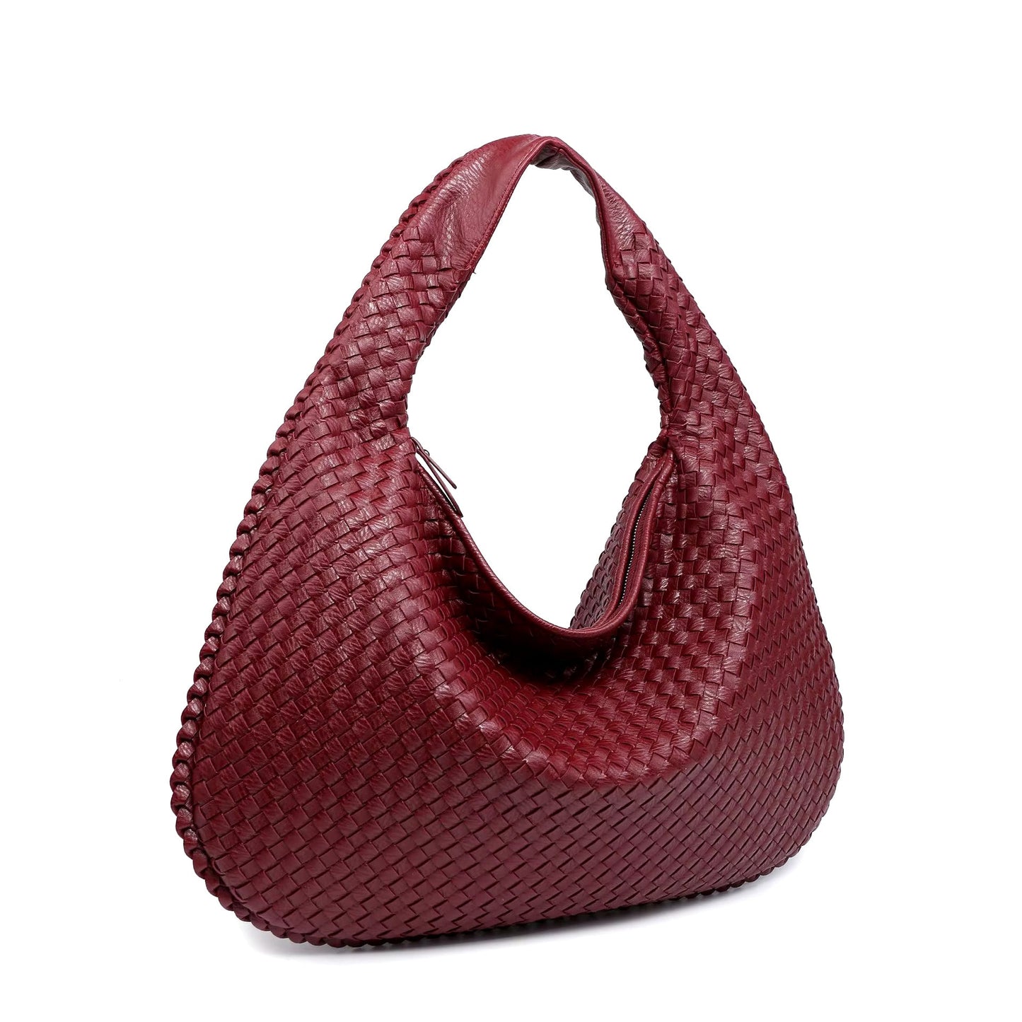 Aurelia tecida maxi