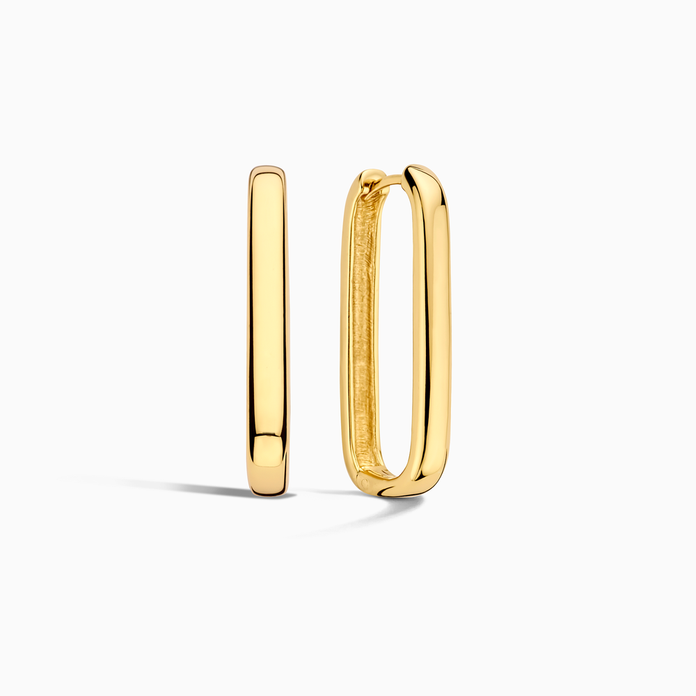 Elegant Icon Golden Hoops — image 1