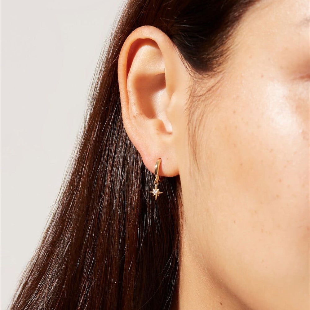 Vudu Star White Gold Earrings — image 3