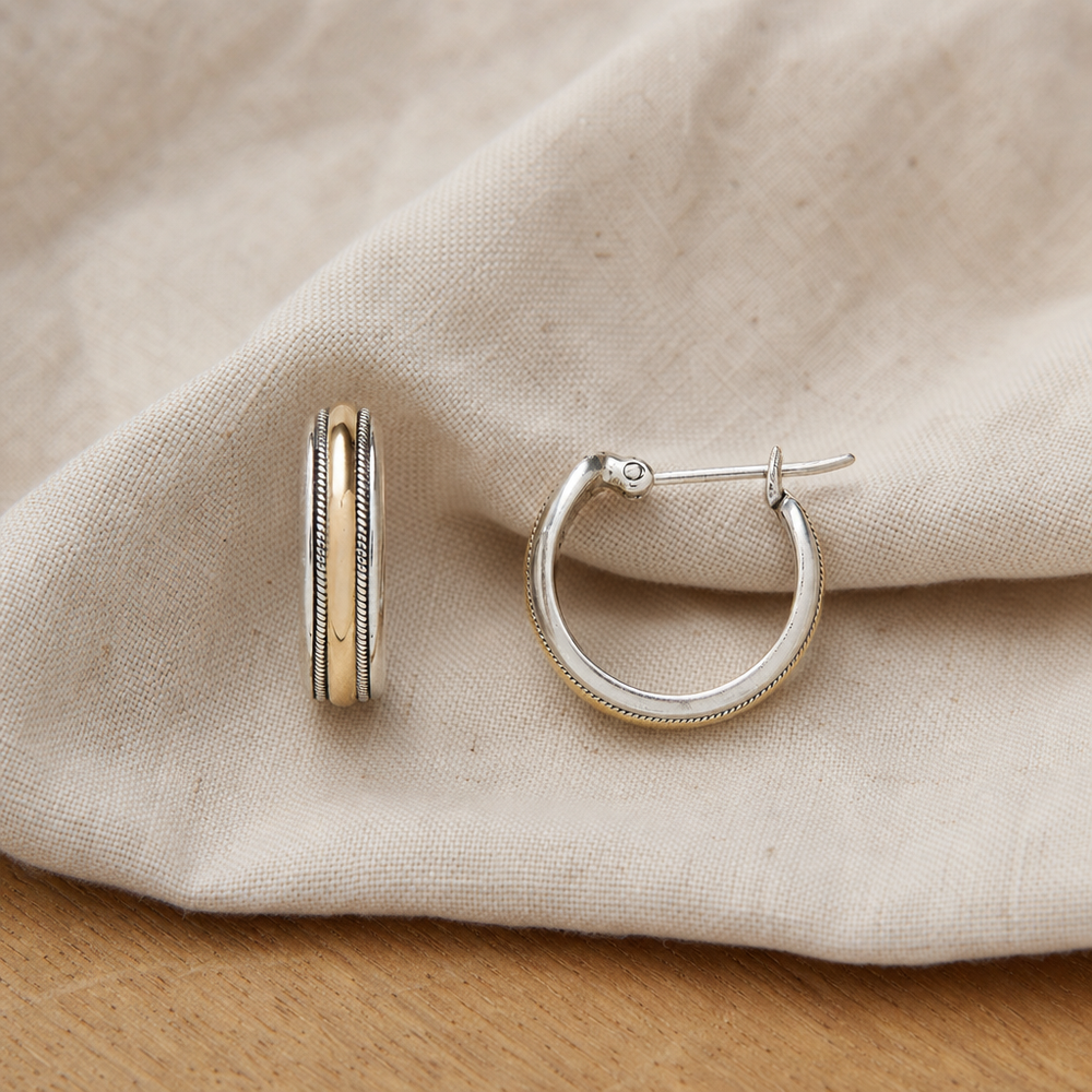 Lavish Golden Line Silver Hoop Earrings — image 1
