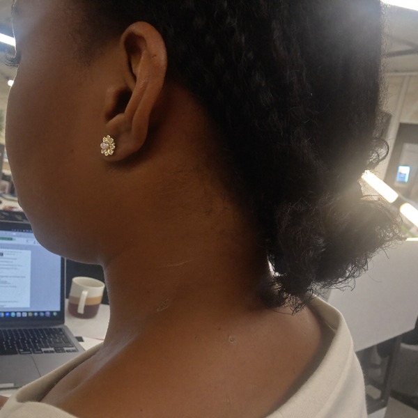 Customer photo